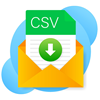 CSV File